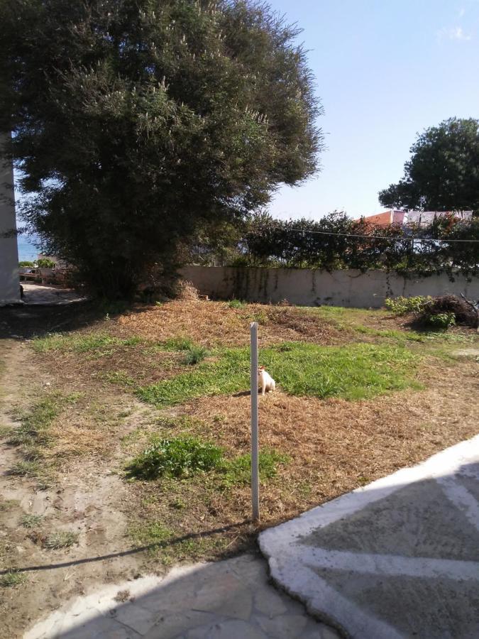 Dimitris Apartments Messongi Mesongí Zewnętrze zdjęcie